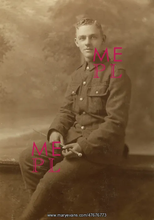 : Studio photo, young man in UOTC uniform, WW1 : Studio photo, young man in UOTC uniform, WW1