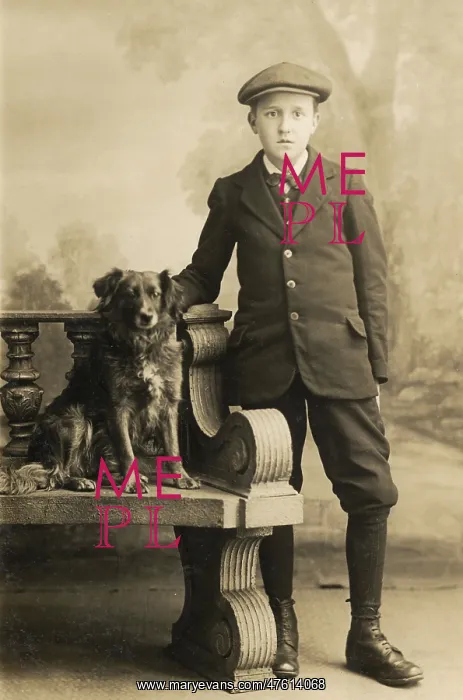 : Studio portrait, boy with a dog : Studio portrait, boy with a dog