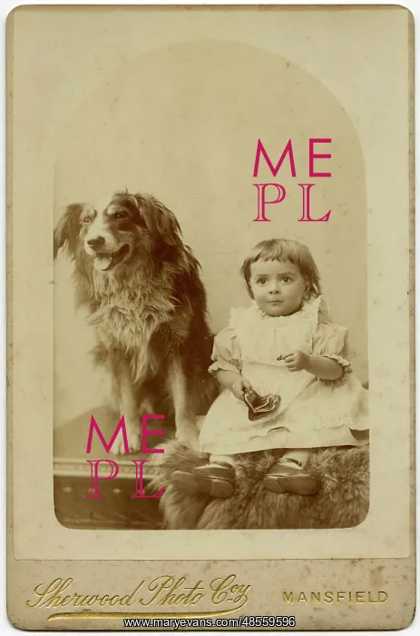 : Studio portrait, boy with dog : Studio portrait, boy with dog