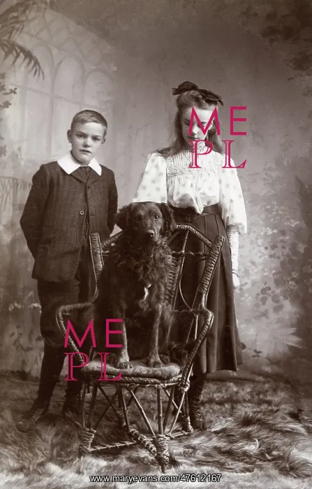 : Studio portrait, boy and girl with large dog : Studio portrait, boy and girl with large dog