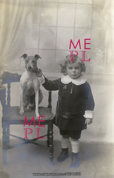 : Studio portrait, boy with Jack Russell terrier : Studio portrait, boy with Jack Russell terrier