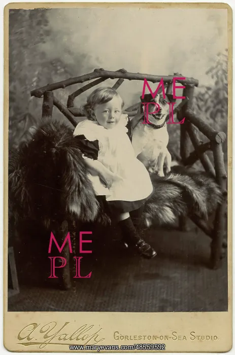 : Studio portrait, boy with terrier dog : Studio portrait, boy with terrier dog