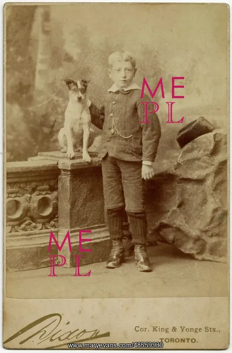  : Studio portrait, boy with terrier dog