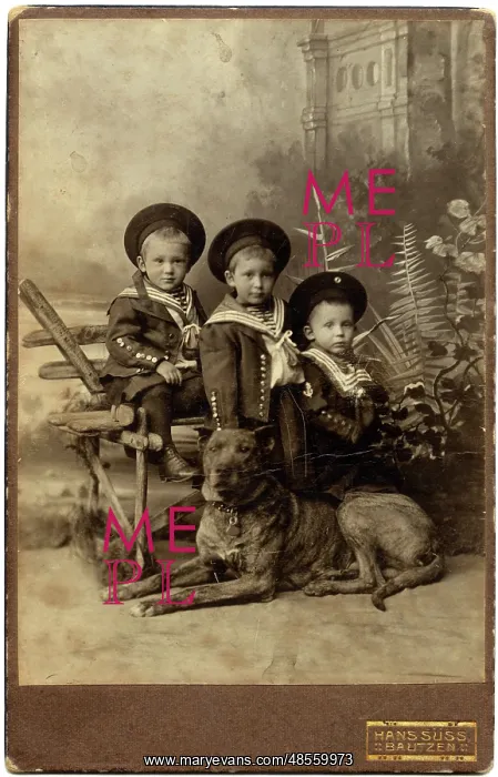 : Studio portrait, three boys with dog : Studio portrait, three boys with dog