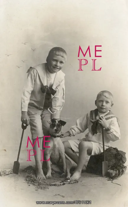 : Studio portrait, two boys with Jack Russell terrier : Studio portrait, two boys with Jack Russell terrier