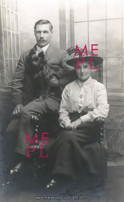 : Studio portrait, couple with dog : Studio portrait, couple with dog