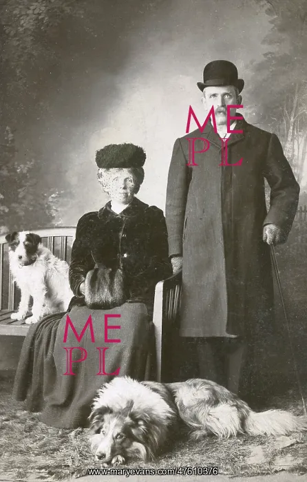 : Studio portrait, couple with two dogs : Studio portrait, couple with two dogs