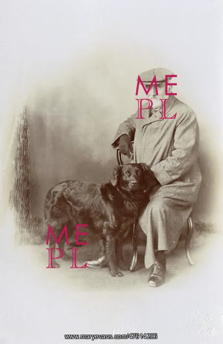 : Studio portrait, elderly man with his dog : Studio portrait, elderly man with his dog