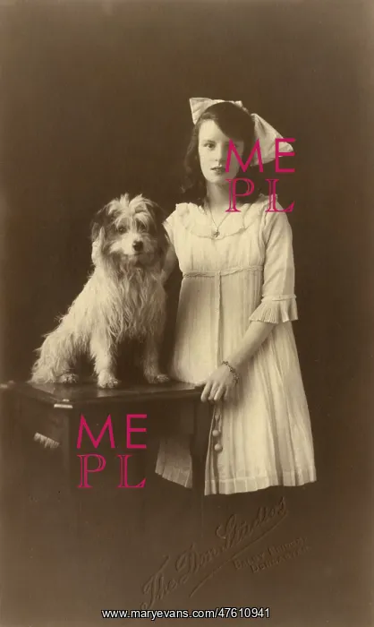 : Studio portrait, girl with Yorkshire terrier : Studio portrait, girl with Yorkshire terrier