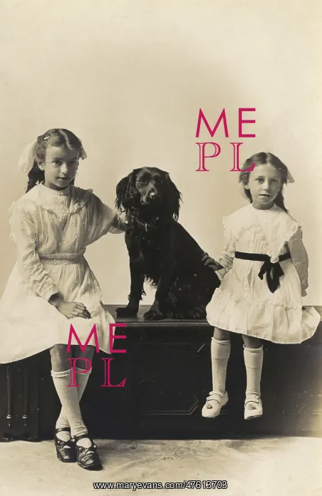 : Studio portrait, two girls with spaniel : Studio portrait, two girls with spaniel