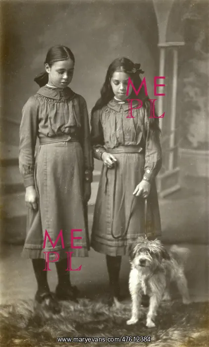 : Studio portrait, two girls with terrier dog : Studio portrait, two girls with terrier dog