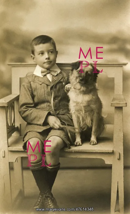 : Studio portrait, little boy with his dog : Studio portrait, little boy with his dog