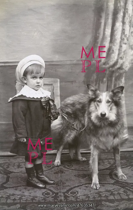  : Studio portrait, little boy with a dog