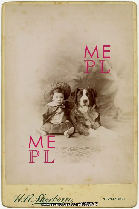  : Studio portrait, little boy with large dog