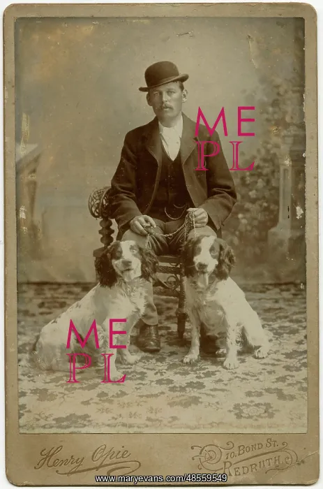 : Studio portrait, man with his dogs : Studio portrait, man with his dogs
