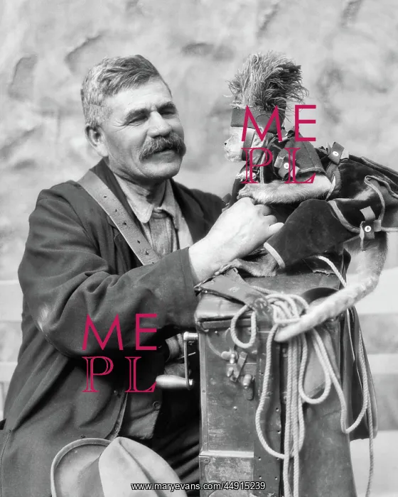 : Studio Portrait Man Organ Grinder posing with Monkey in : Studio Portrait Man Organ Grinder posing with Monkey in
