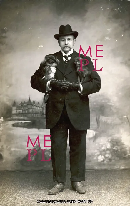 : Studio portrait, man with Pekingese dogs : Studio portrait, man with Pekingese dogs
