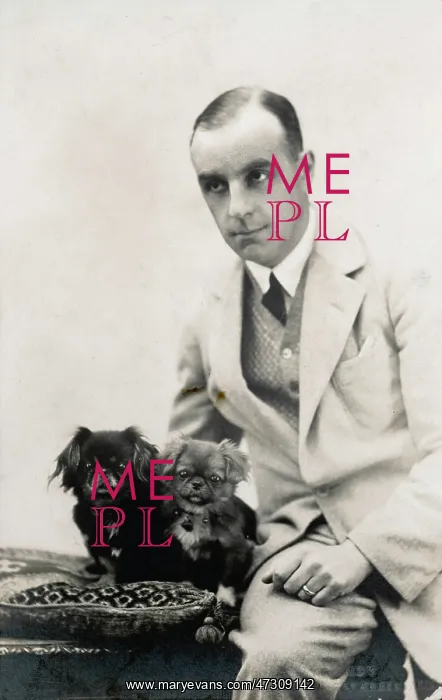 : Studio portrait, man with Pekingese dogs : Studio portrait, man with Pekingese dogs