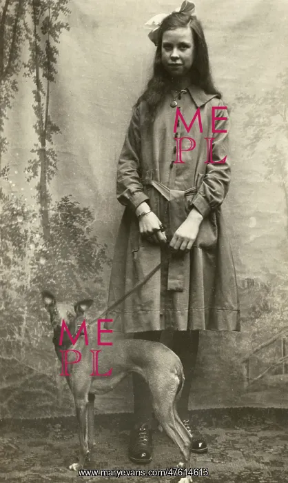  : Studio portrait, tall girl with whippet