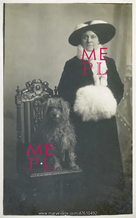 : Studio portrait, woman with dog : Studio portrait, woman with dog