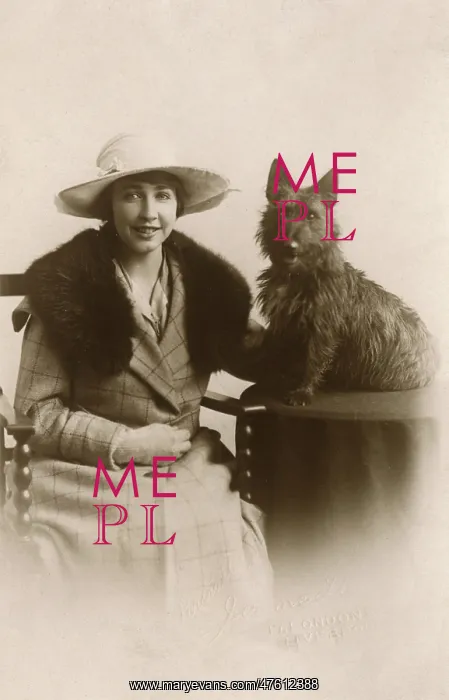 : Studio portrait, woman with Scots terrier : Studio portrait, woman with Scots terrier