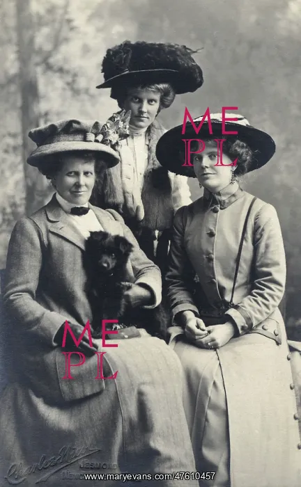 : Studio portrait, three women with a dog : Studio portrait, three women with a dog