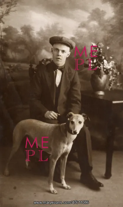 : Studio portrait, young man with lurcher : Studio portrait, young man with lurcher