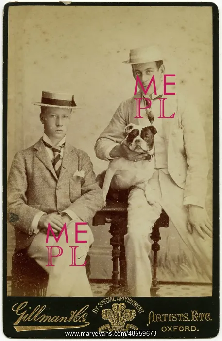 : Studio portrait, two young men with bulldog : Studio portrait, two young men with bulldog