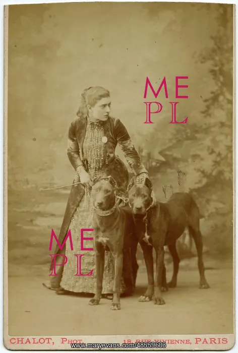  : Studio portrait, young woman with two dogs