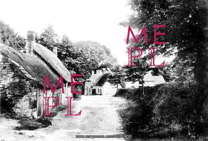  : Studland, New Inn 1890