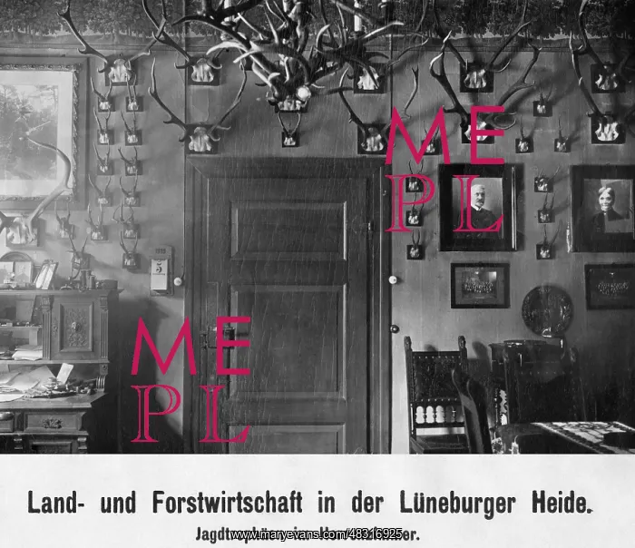 : Study, 1919 : Study, 1919