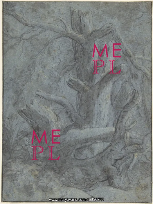 : Study of a Blasted Tree Trunk and Branches, 1600?1653 : Study of a Blasted Tree Trunk and Branches, 1600?1653