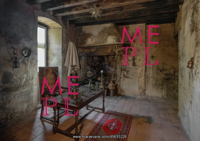 : Study, Chateau de Rapetour, Theize, Beaujolais, France : Study, Chateau de Rapetour, Theize, Beaujolais, France