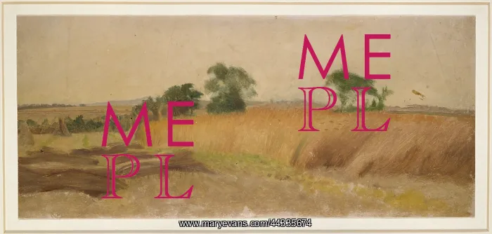  : Study of a Cornfield