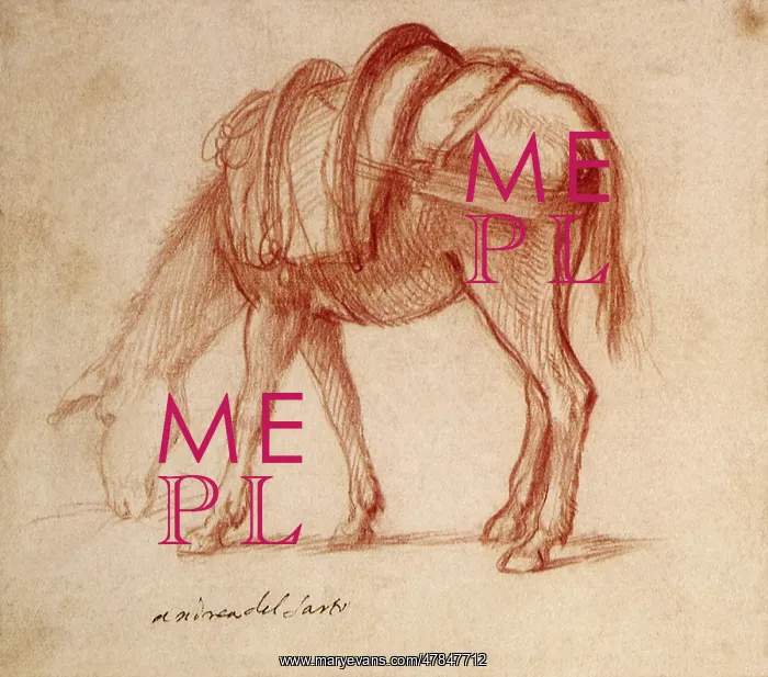 : Study of a Donkey Grazing, by Andrea del Sarto : Study of a Donkey Grazing, by Andrea del Sarto