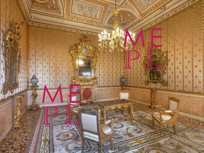 : Study of the Emperor, Royal Palace, Venice, Italy : Study of the Emperor, Royal Palace, Venice, Italy
