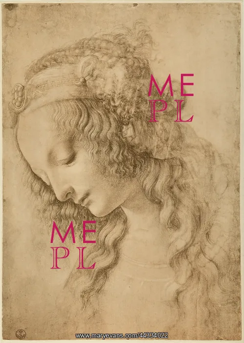 : Study for the face of the Virgin : Study for the face of the Virgin