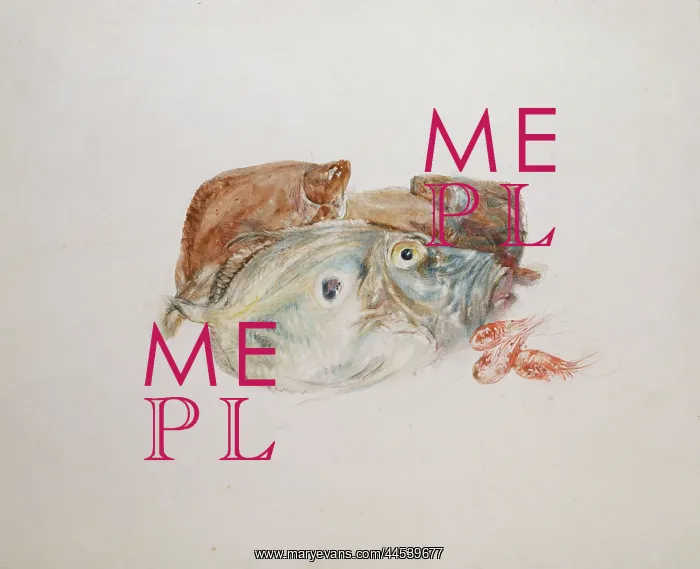 : Study of Fish : Study of Fish