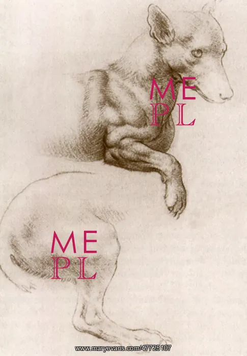 : Study of Forequarters and Hindquarters of a Dog, da Vinci : Study of Forequarters and Hindquarters of a Dog, da Vinci