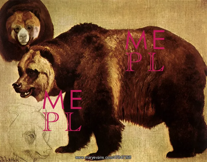  : Study of a Grizzly Bear