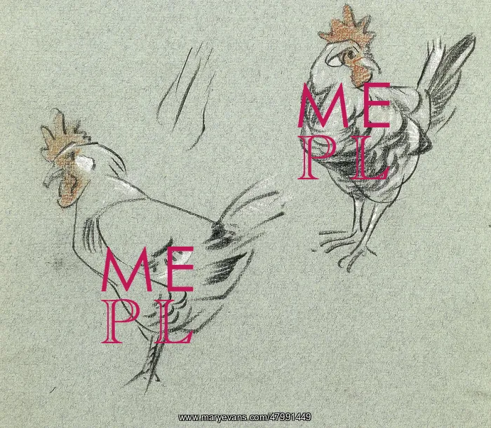  : Study of two hens