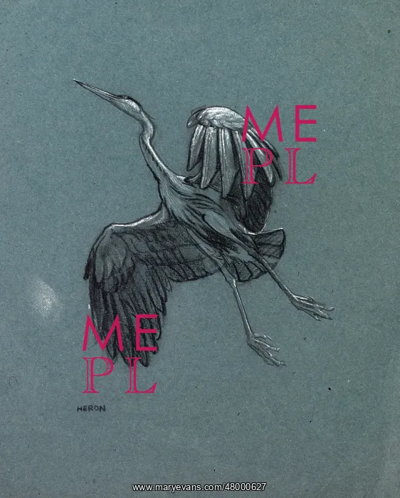  : Study of a heron in flight