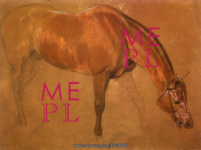  : Study of a Horse, by Landseer