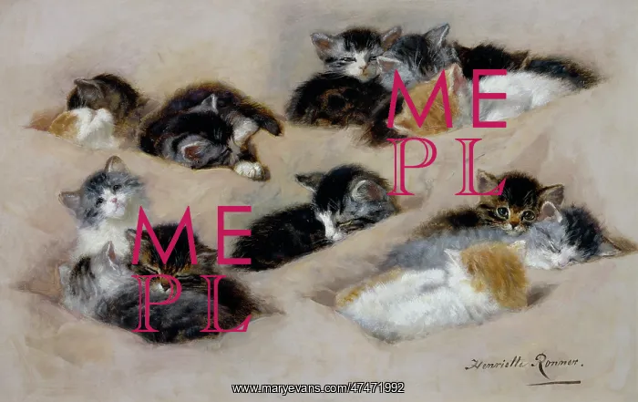  : A Study of Kittens