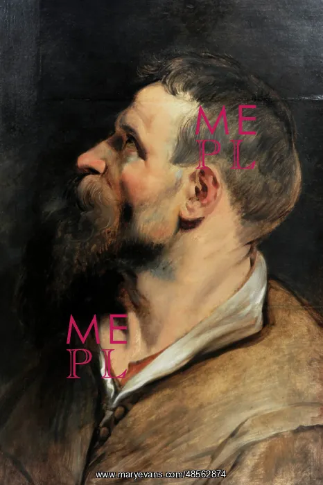 : Study of a Man in Profile, by Rubens : Study of a Man in Profile, by Rubens