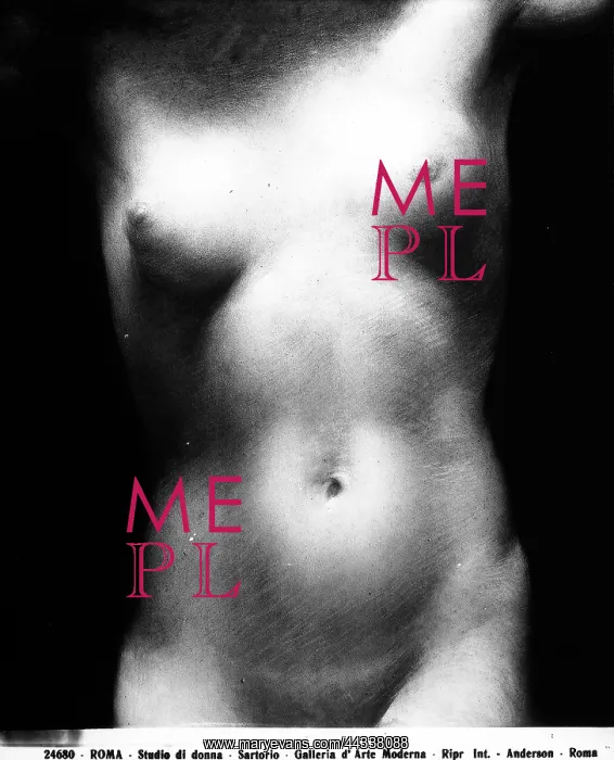 : Study of a naked woman : Study of a naked woman
