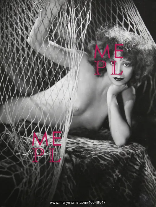: Study of a naked woman behind a net : Study of a naked woman behind a net