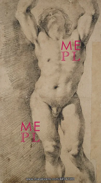 : Study of a nude Youth with Arms raised : Study of a nude Youth with Arms raised