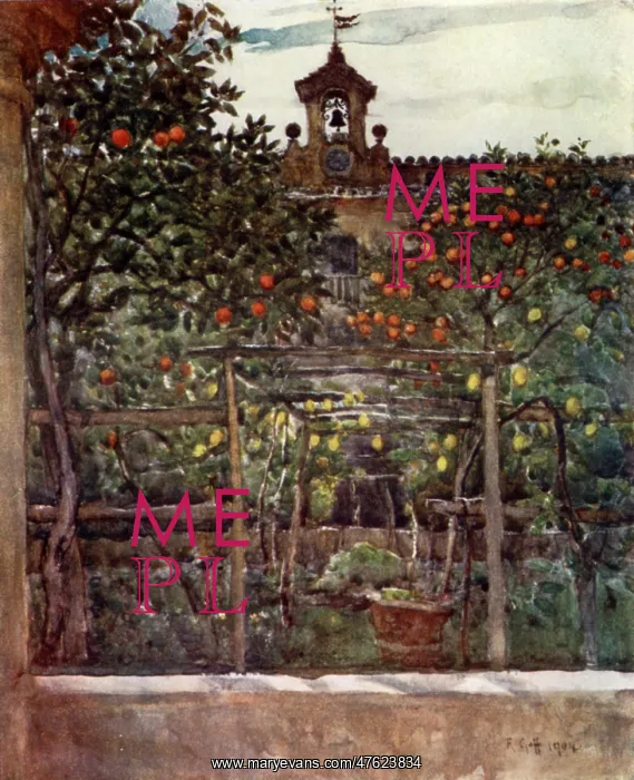 : Study of Orange and Lemon Trees in an Ancient Convent Garden : Study of Orange and Lemon Trees in an Ancient Convent Garden