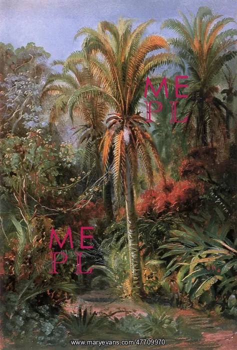  : Study of Palm Trees